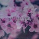 Entangled Worlds Single