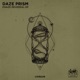 Phaze Reversal EP