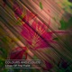 Lilies of the Field Single
