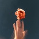 Hopeless Romantics feat Sidd Single