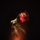 Não Aprendi a Falar de Amor Single