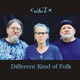 Different Kind of Folk