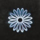 Reveal Single