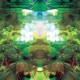 The Invisible Garden