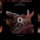 Dark Passenger Single