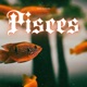 Pisces Single