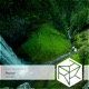 Repose Single