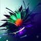 Free Spirit Single