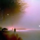 Pure Form Single