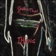Shake That Thang Single