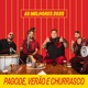 As Melhores 2025 Pagode Verão e Churrasco Ao Vivo