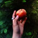 Adamant Eve Single