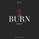 Burn Single