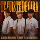 Te Fuiste De Gira Single
