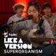 Congratulations triple j Like A Version Single