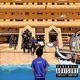 Projet LOGUETOWN EP
