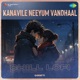 Kanavile Neeyum Vandhaal Chill Lofi Single