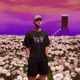 Ctrl z Single