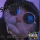SheLuvIt feat Sad Tommy Single