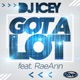 Got a Lot feat RaeAnn Single