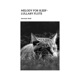Melody for Sleep Lullaby Flute Single