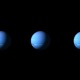 Neptune Single