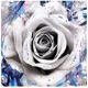 For Carolyn My Love Single
