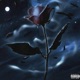 indatmode woahhhh Single
