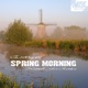 Spring Morning Numall Fix Remix Single