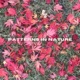 Patterns In Nature EP