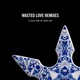 Wasted Love Remixes feat Dougy