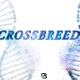 CrossBreed