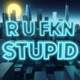 R U FKN STUPID Single