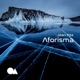 Aforisma Single