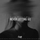 Never Letting Go Single