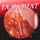 Enjoyment feat Annyberry Single