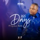 365 Days feat Lyrikal Busta Single