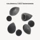 Caléndula Aka Rainhands Single
