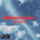 SPÉCIMEN Single