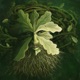 Old Leaves Single
