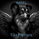 Dog Down Single