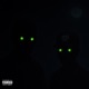 Blurry Nights