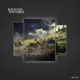 Textures Single