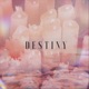 Destiny Single