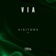 Visitors Single