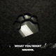 What You Want Single