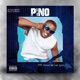 Pino Single