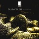 Bungler Single