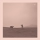Demitasse feat Jeremy Rose Hamed Sadeghi Lloyd Swanton Single