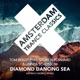 Diamond Dancing Sea Katrin s World Remix Single